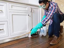 Best Real Estate Pest Inspections  in Oroville, CA